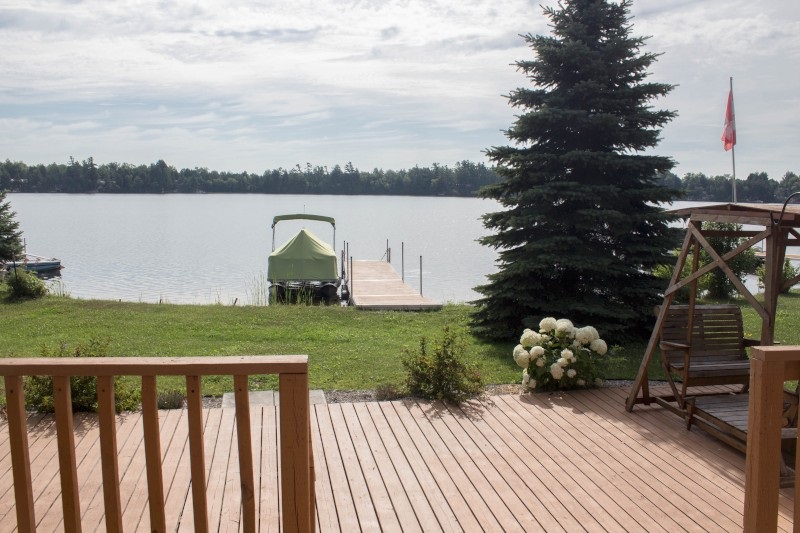 Waterfront Cottage for Rent, near Tamworth