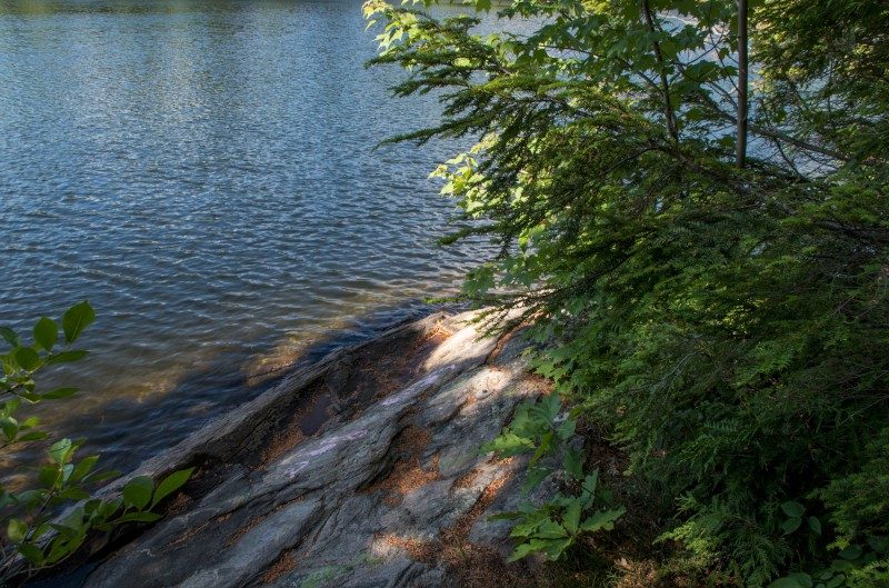 Private Lakefront Cottage On Otter Lake Near Parry Sound