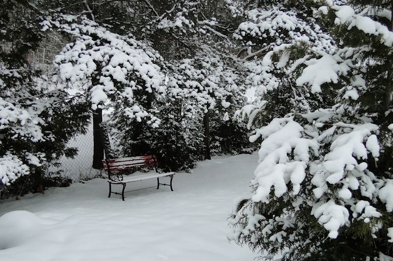 Ontario Cottage Rental, Skeleton Lake near Huntsville